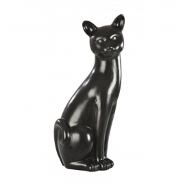 Chat GM ton anthracite